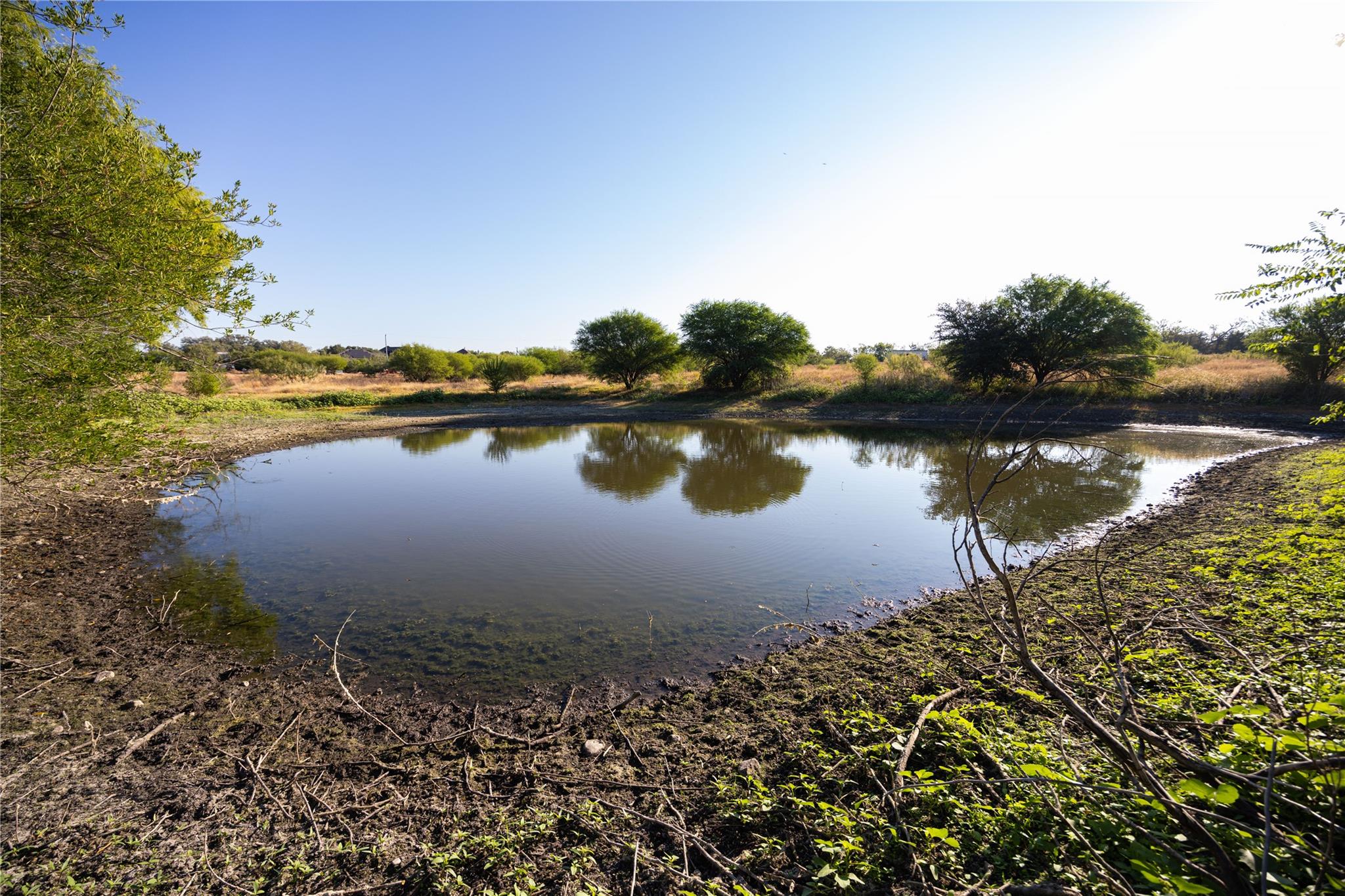 Image 3 of 16 For 6868 Pfeil Rd