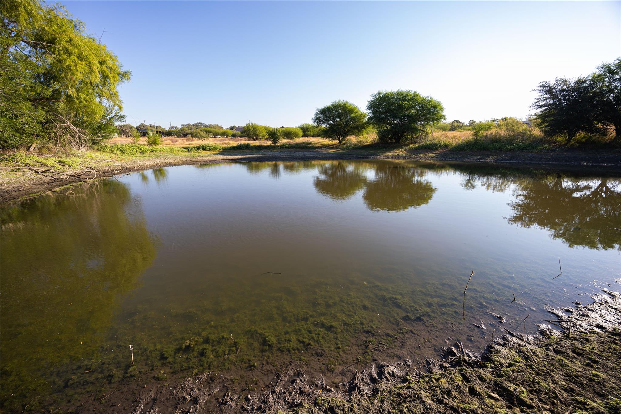 Image 4 of 16 For 6868 Pfeil Rd