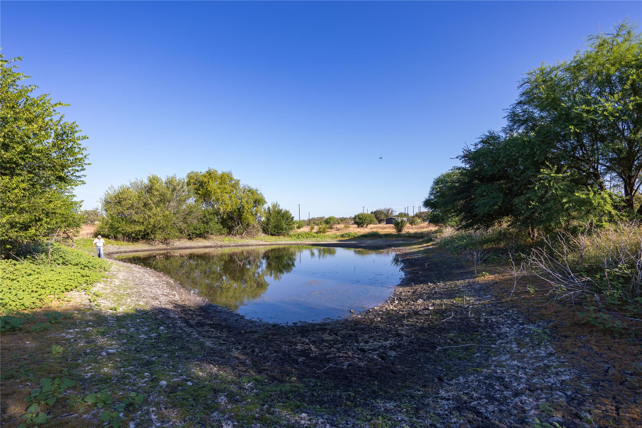 Image 5 of 16 For 6868 Pfeil Rd