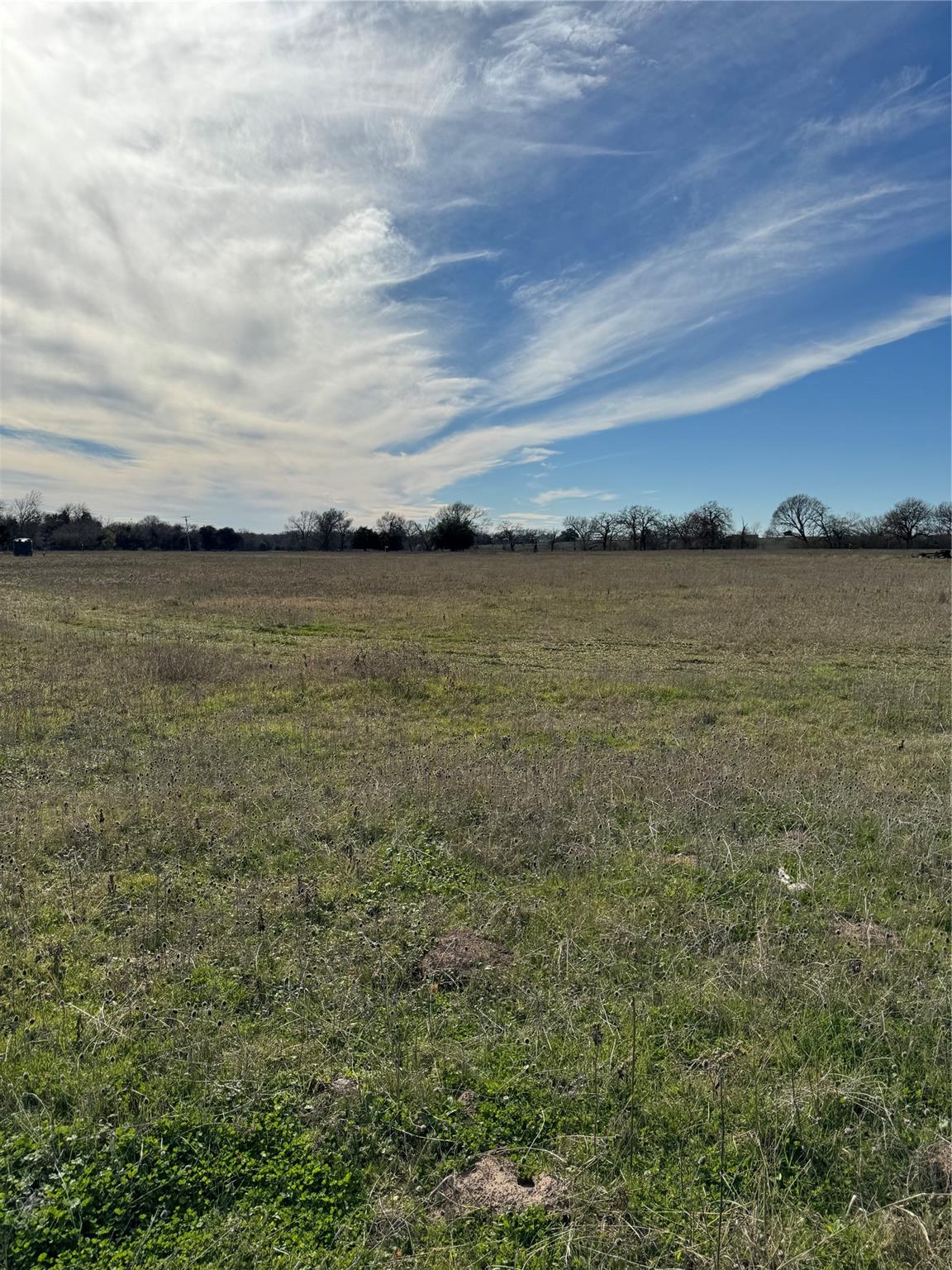 Details for Tbd Lot 9 Gander Slough, Kingsbury, TX 78638