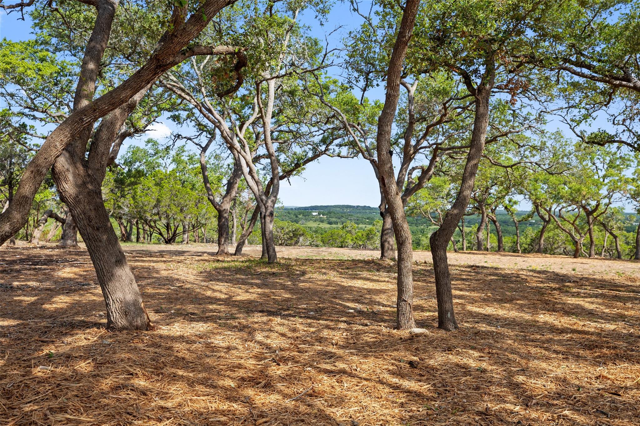 Image 9 of 23 For 9475 Fm 32, Lot 9