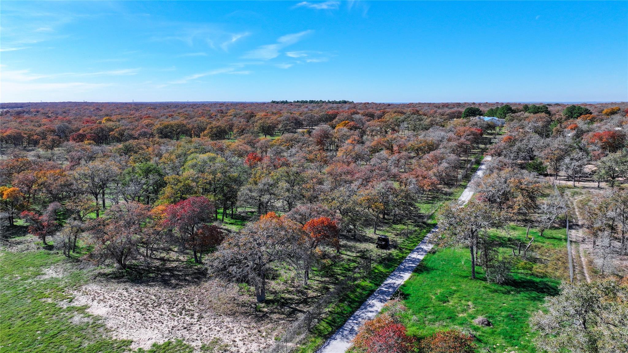 Image 12 of 40 For Tbd Tx-123  