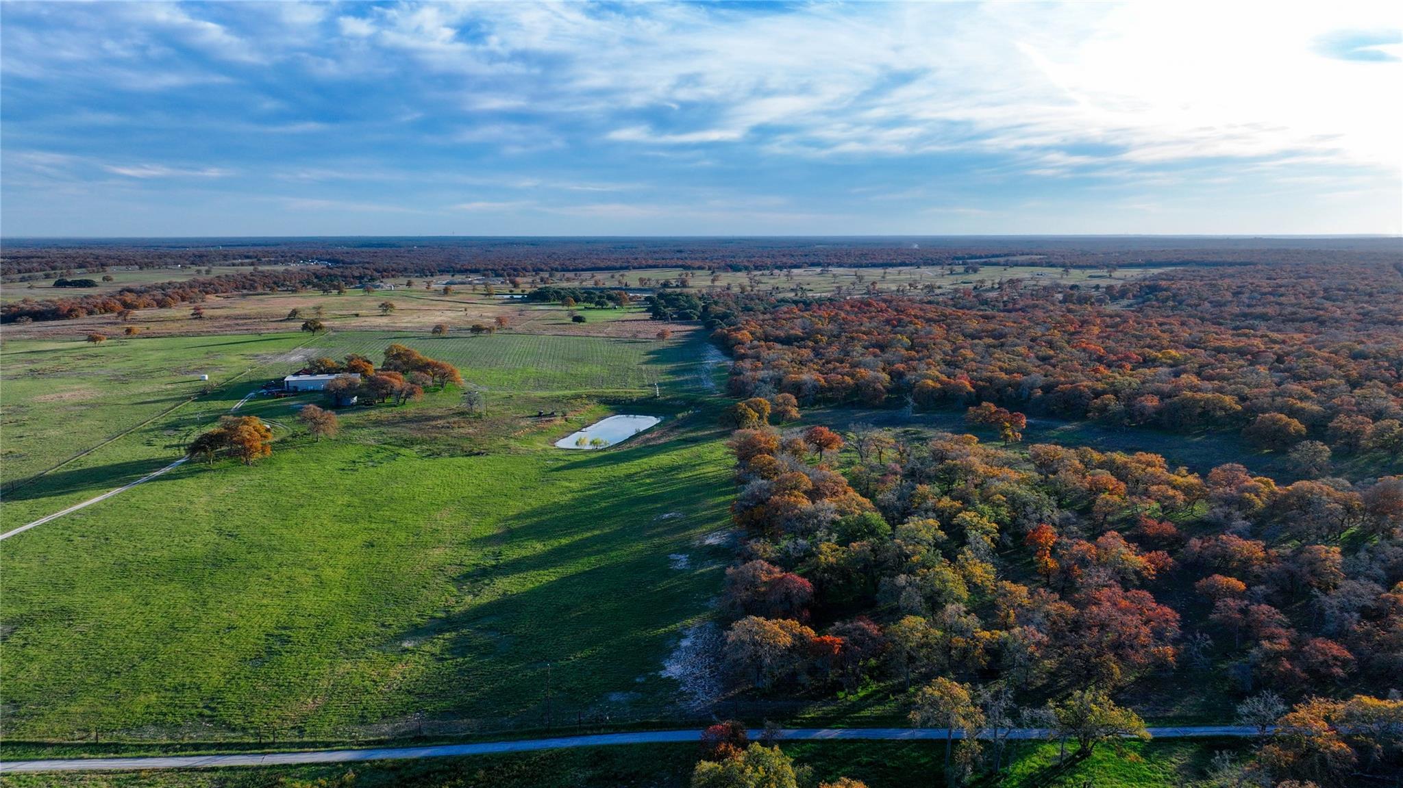 Image 18 of 40 For Tbd Tx-123  