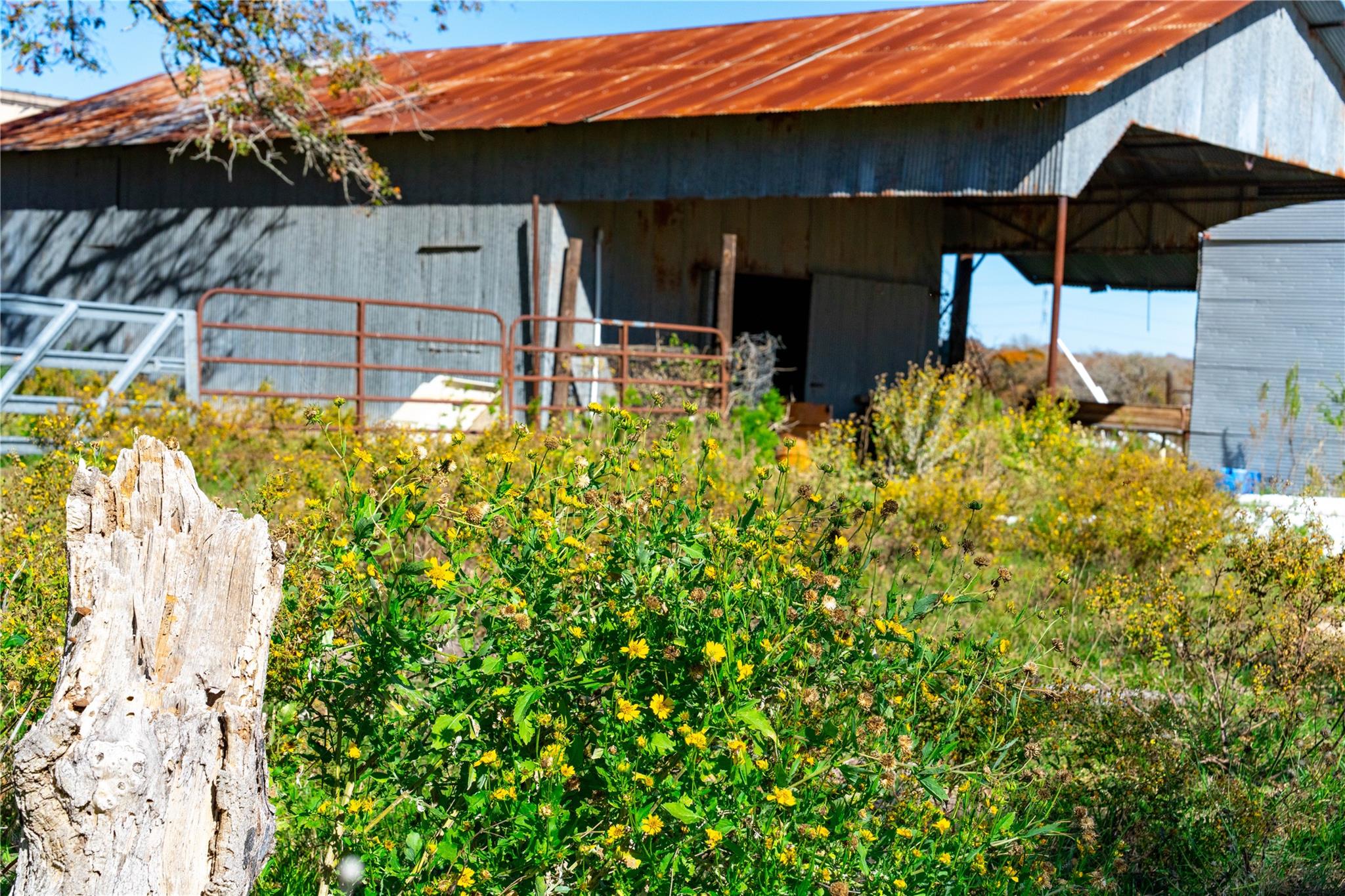 Image 20 of 40 For Tbd Tx-123  