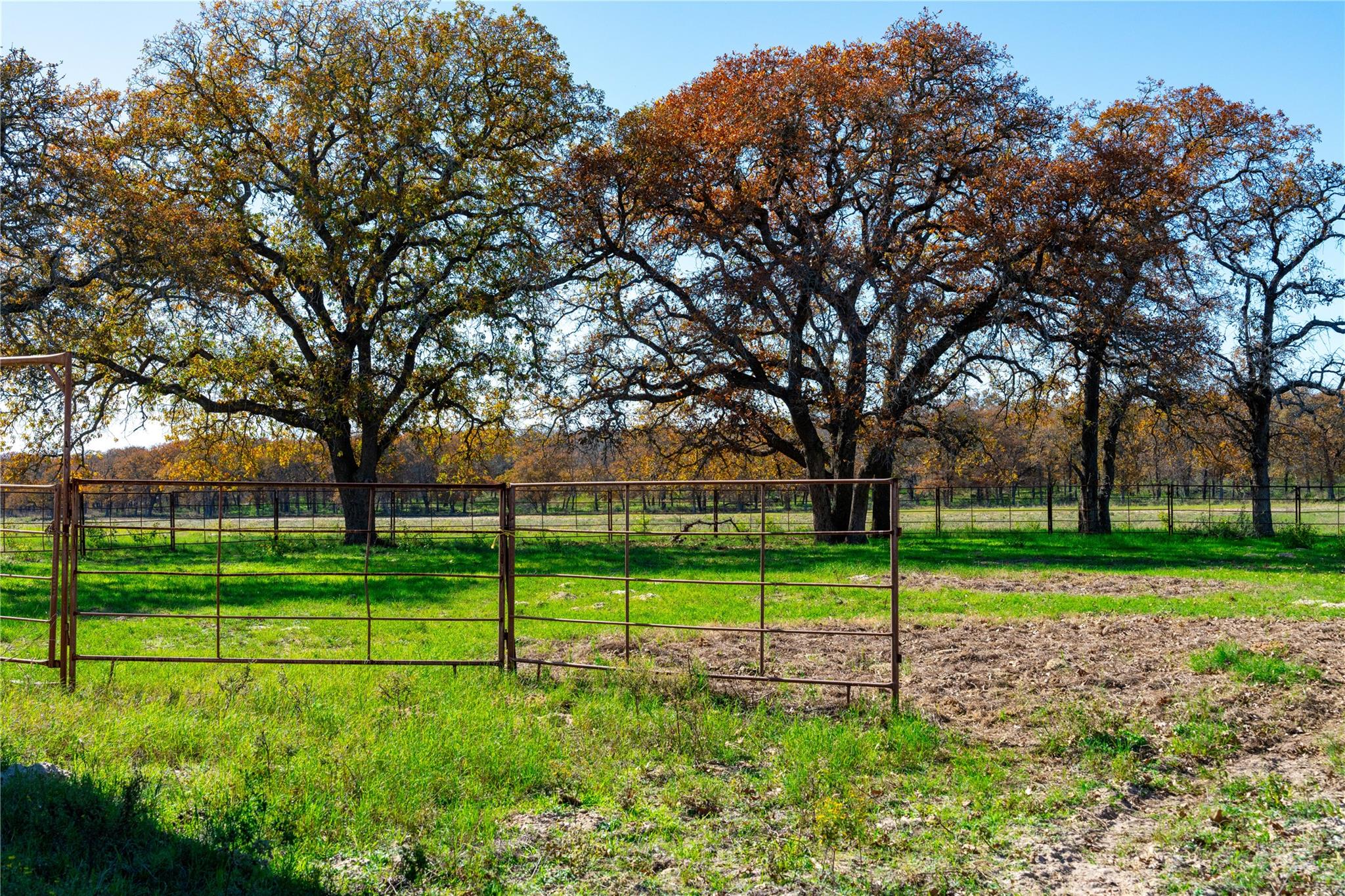 Image 21 of 40 For Tbd Tx-123  