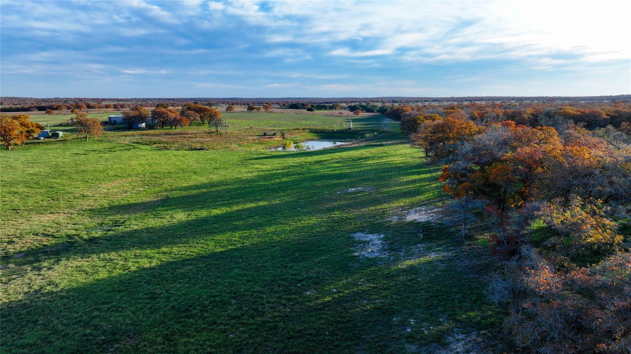 Image 22 of 40 For Tbd Tx-123  