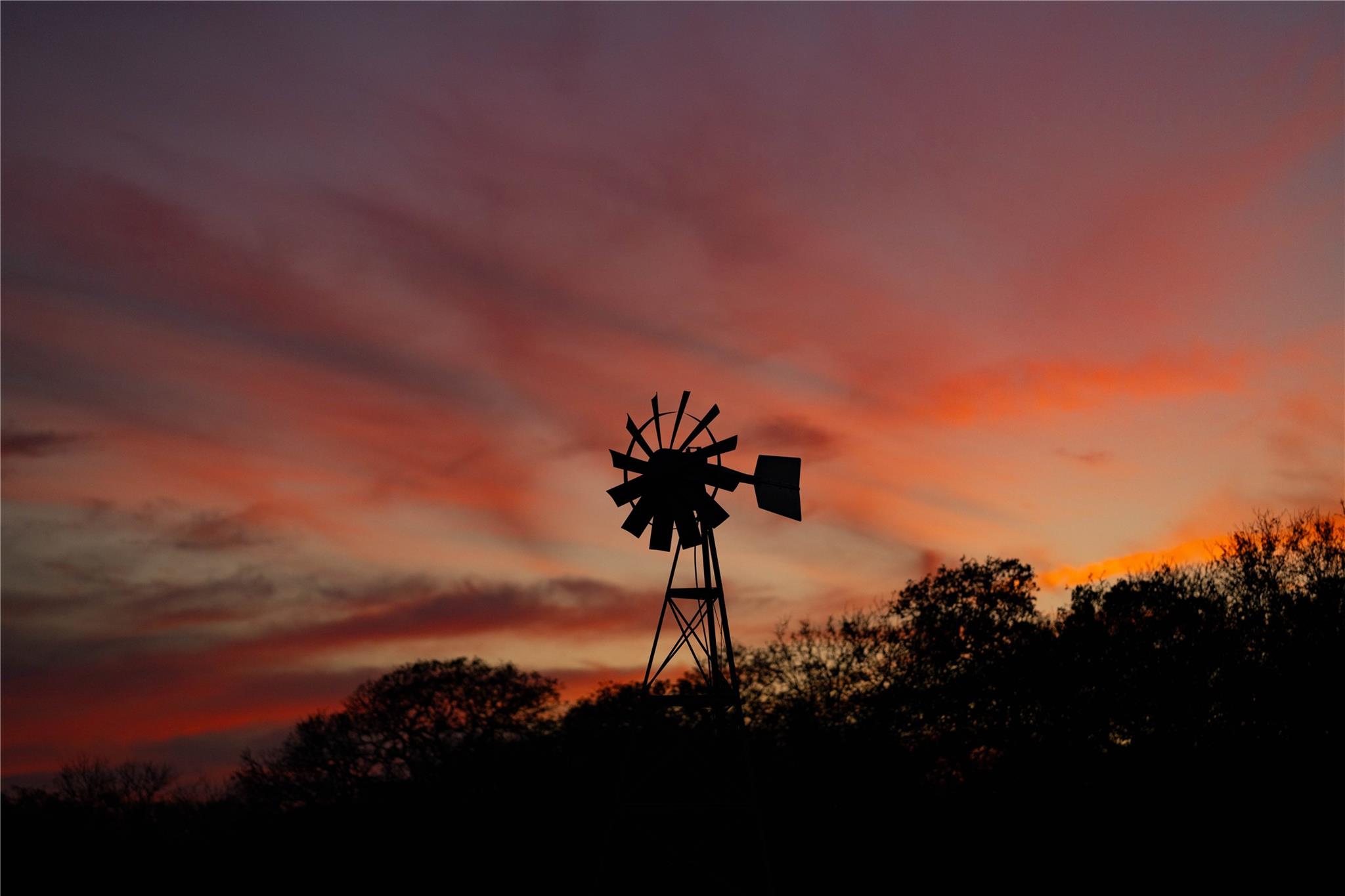 Image 24 of 40 For Tbd Tx-123  