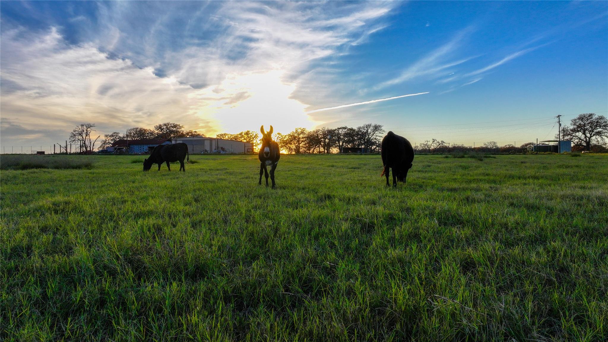 Image 29 of 40 For Tbd Tx-123  