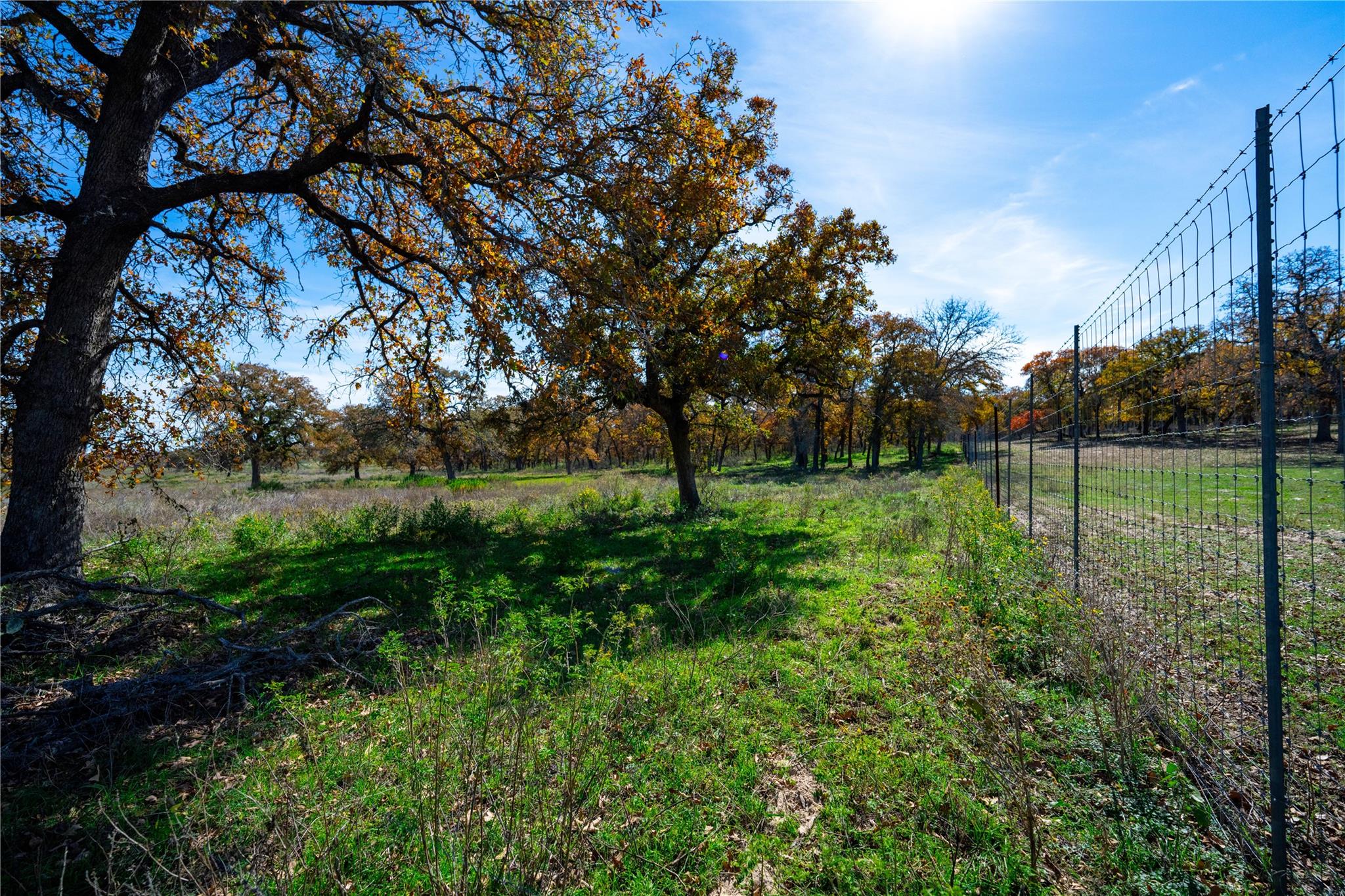 Image 3 of 40 For Tbd Tx-123  