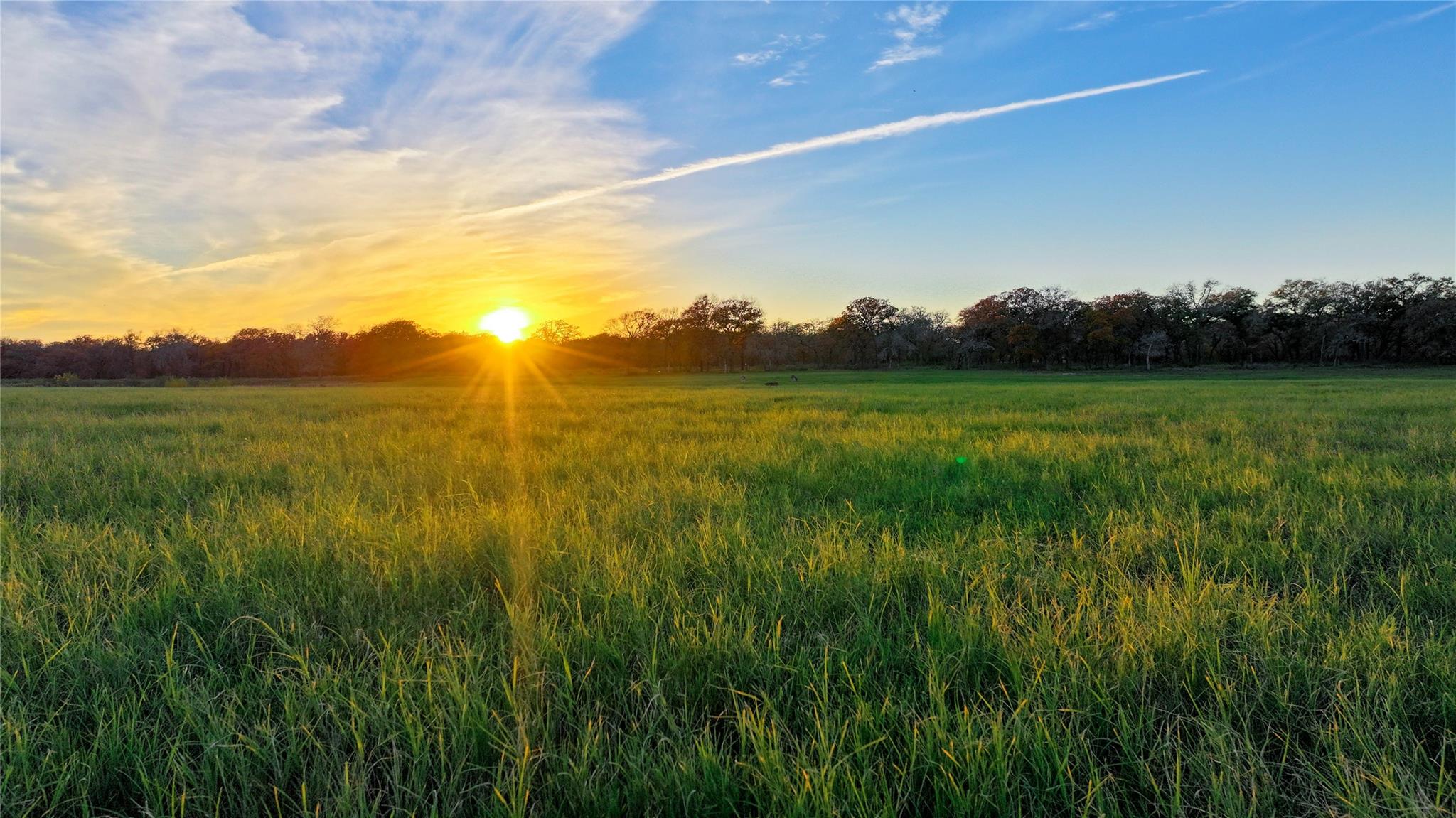 Image 30 of 40 For Tbd Tx-123  