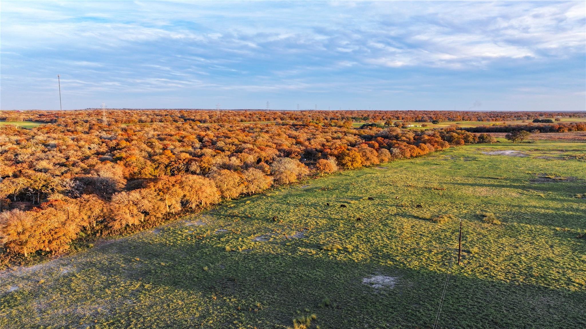 Image 32 of 40 For Tbd Tx-123  