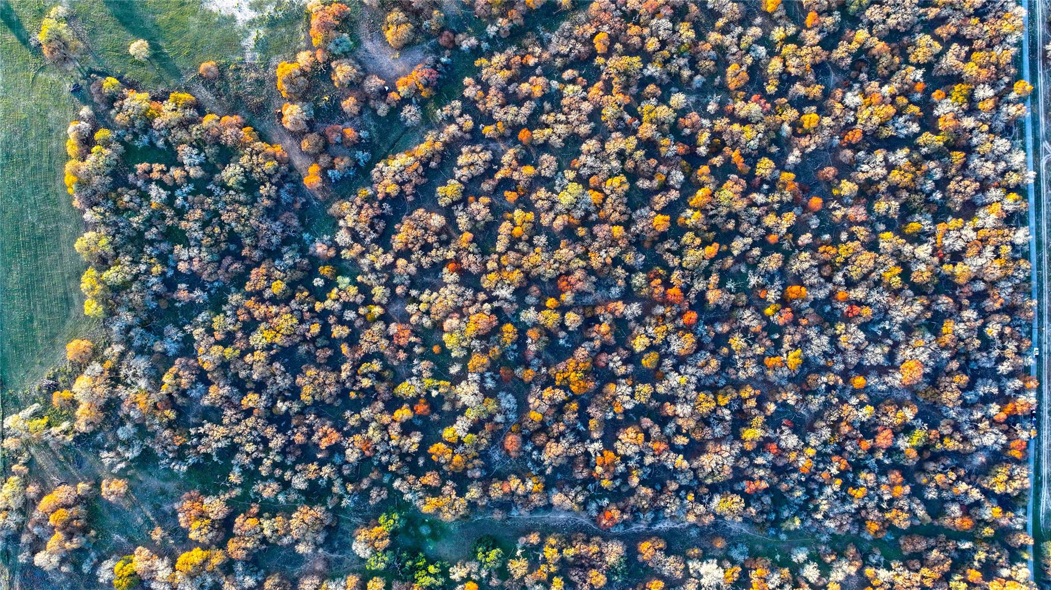 Image 33 of 40 For Tbd Tx-123  