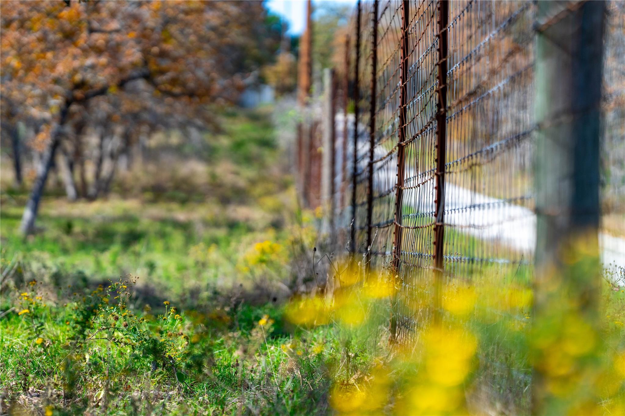 Image 36 of 40 For Tbd Tx-123  