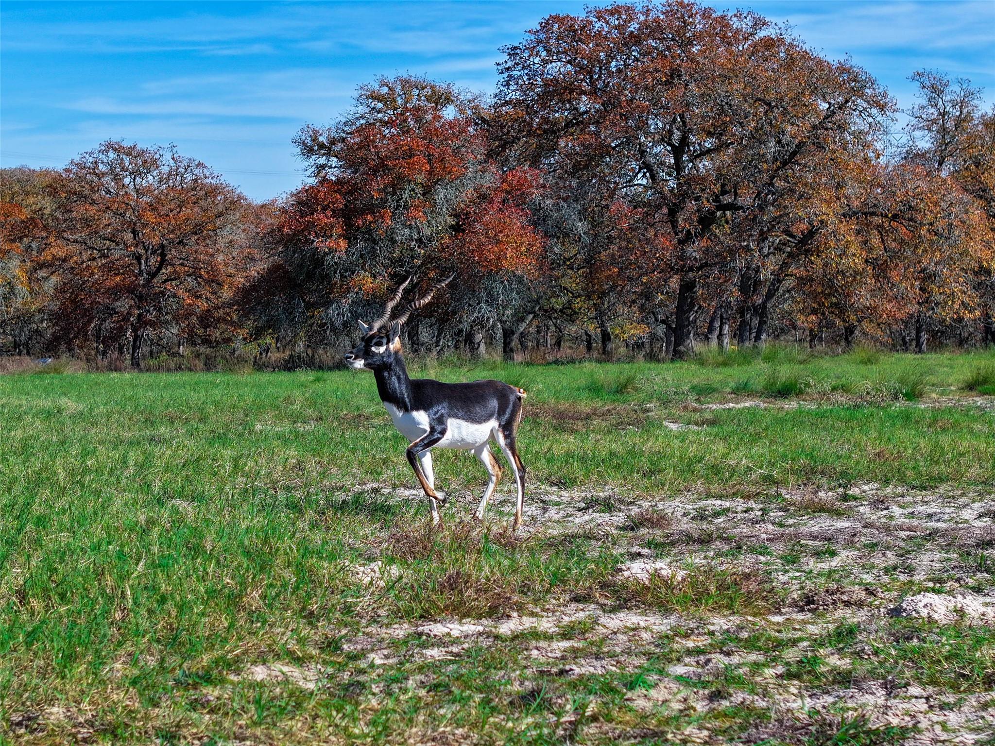 Image 38 of 40 For Tbd Tx-123  