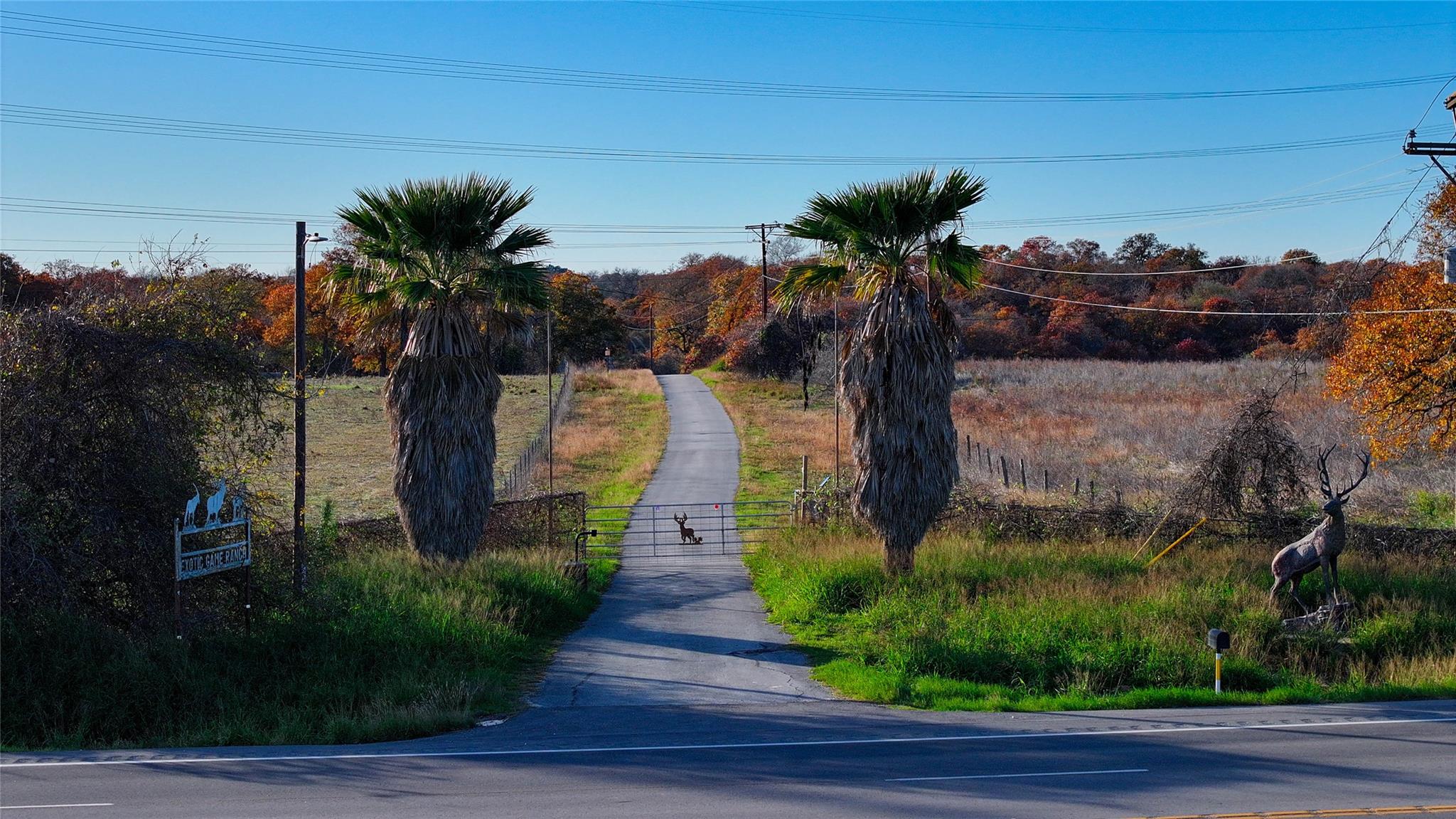 Image 5 of 40 For Tbd Tx-123  