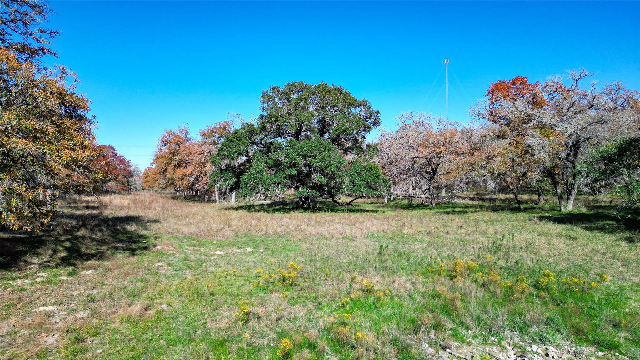 Image 6 of 40 For Tbd Tx-123  