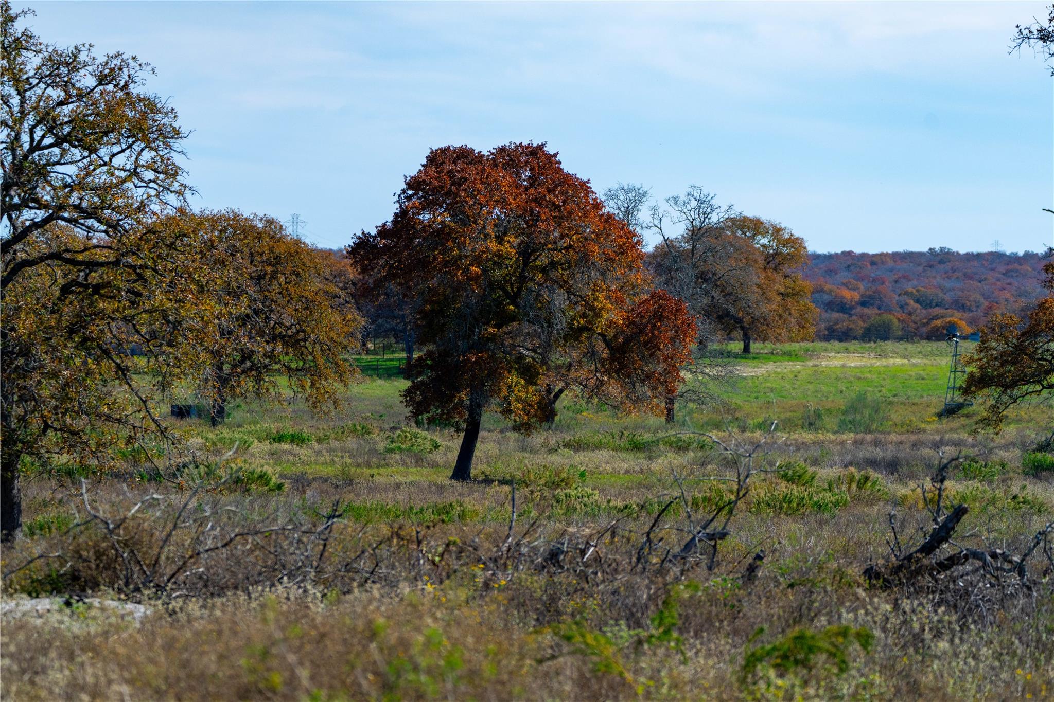 Image 8 of 40 For Tbd Tx-123  