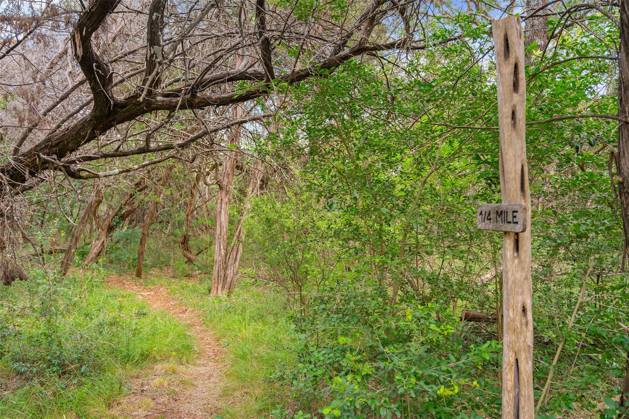 Image 32 of 40 For 1601 Wild Basin Ledge