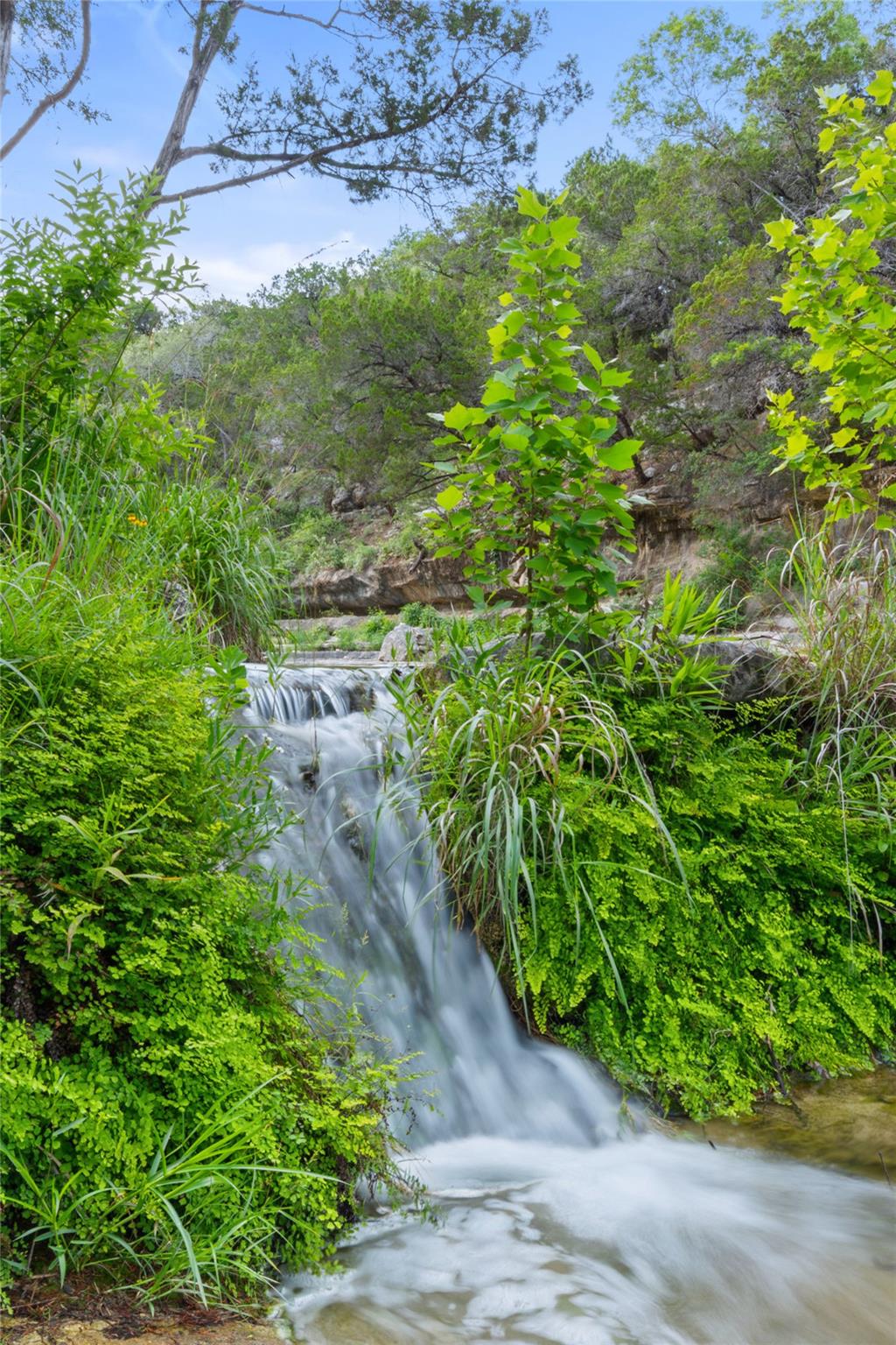 Image 34 of 40 For 1601 Wild Basin Ledge