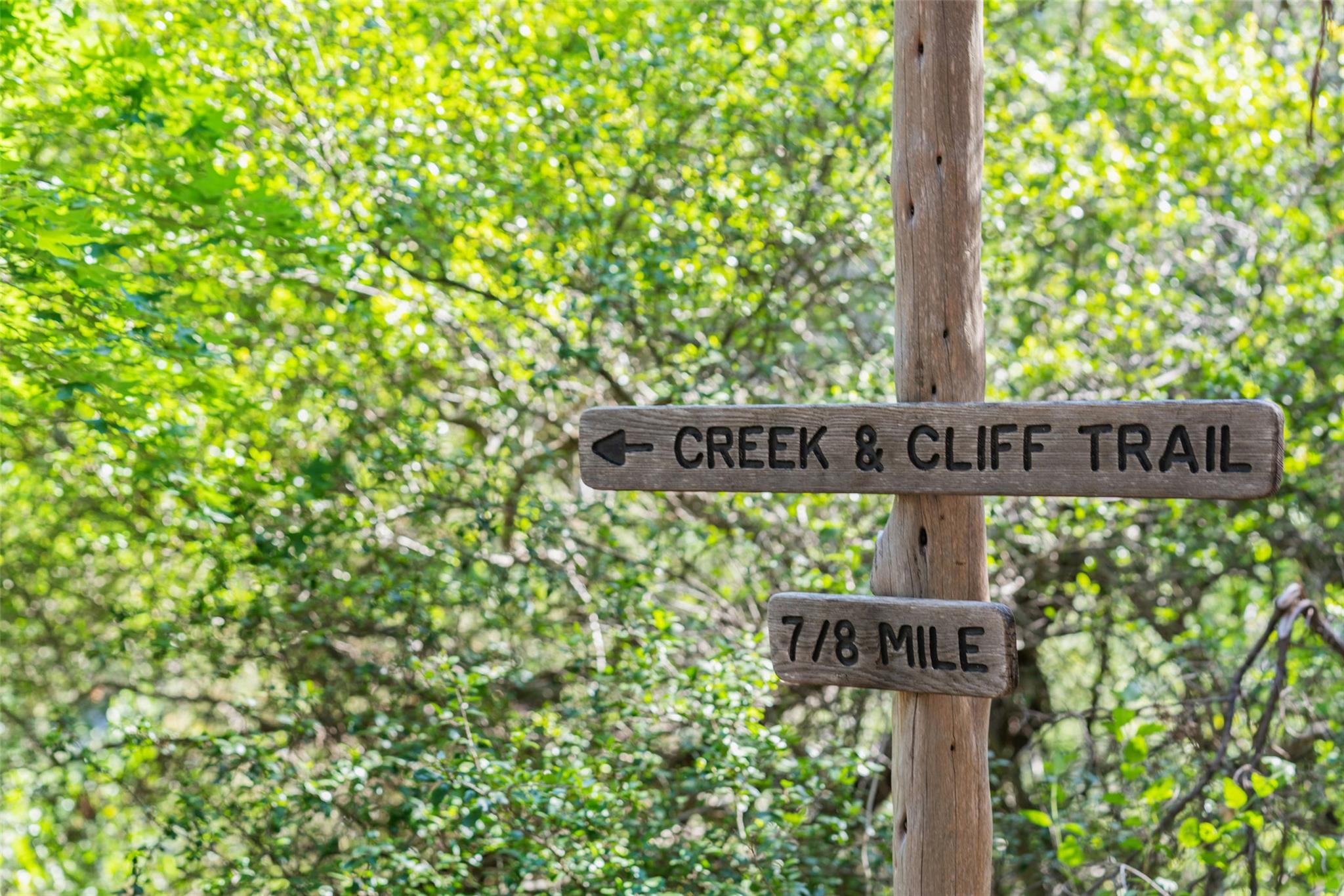Image 6 of 40 For 1601 Wild Basin Ledge