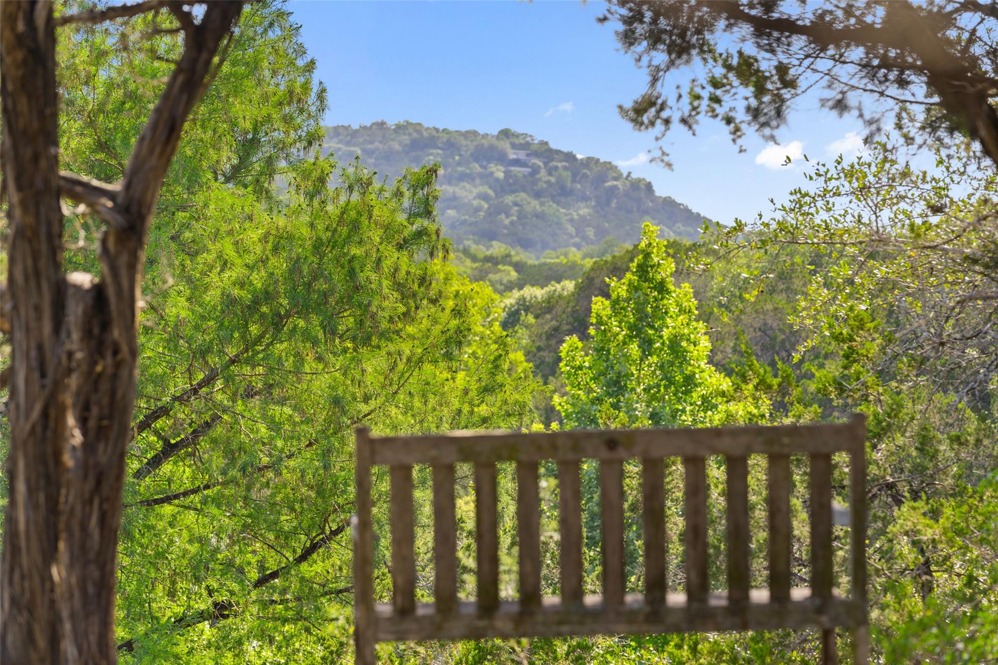 Image 7 of 40 For 1601 Wild Basin Ledge