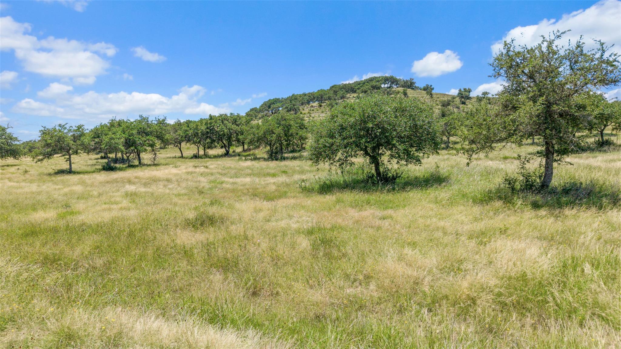 Image 4 of 24 For Tbd Kendalia Rd