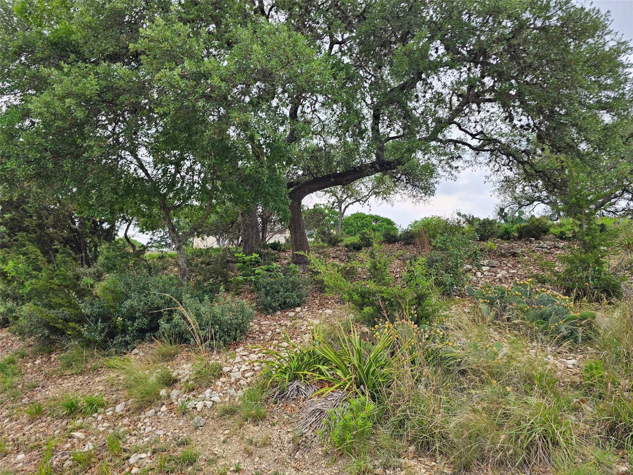 Image 9 of 19 For 0000 Military Dr