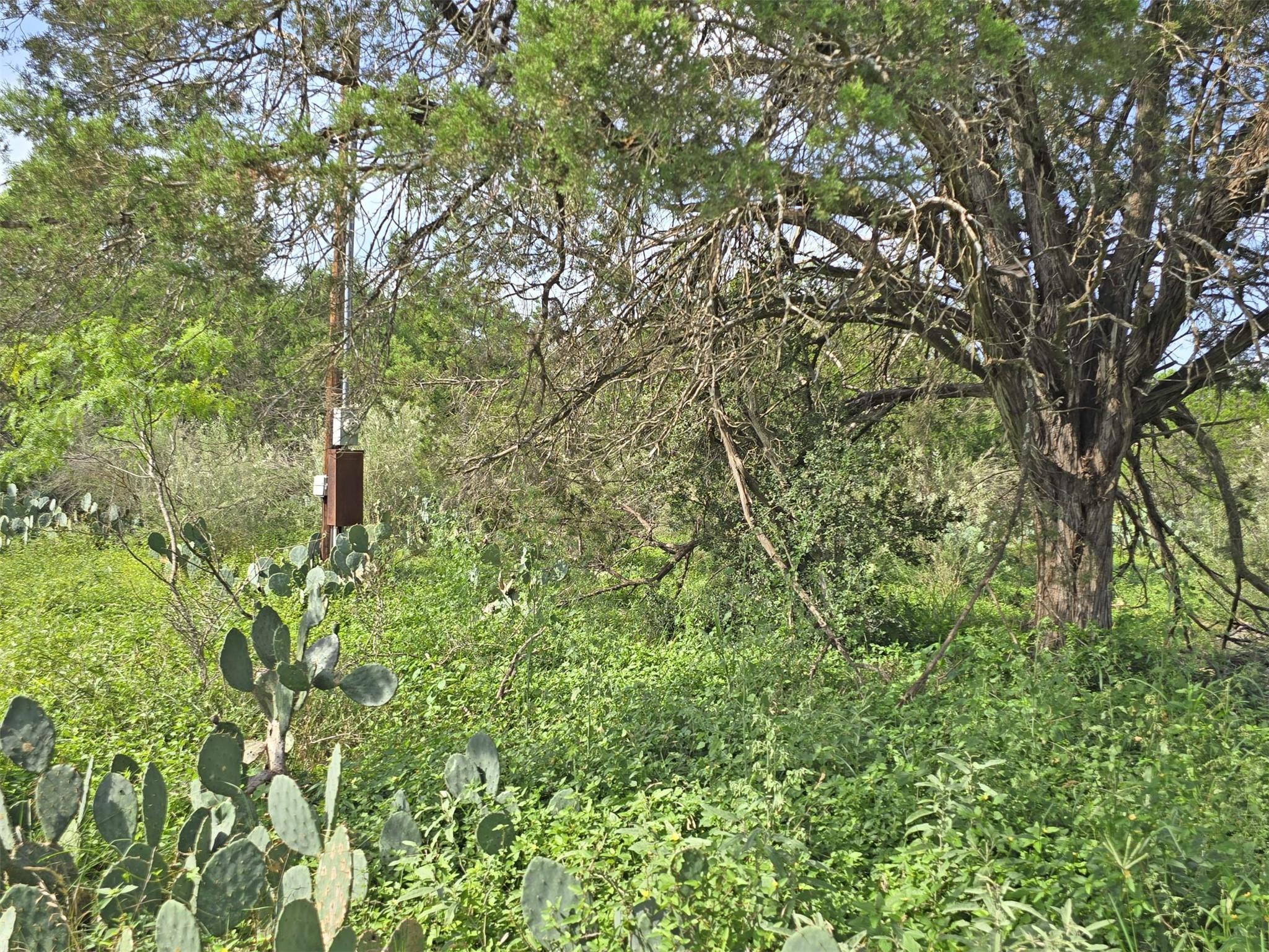 Image 12 of 15 For 584 Coyote Run