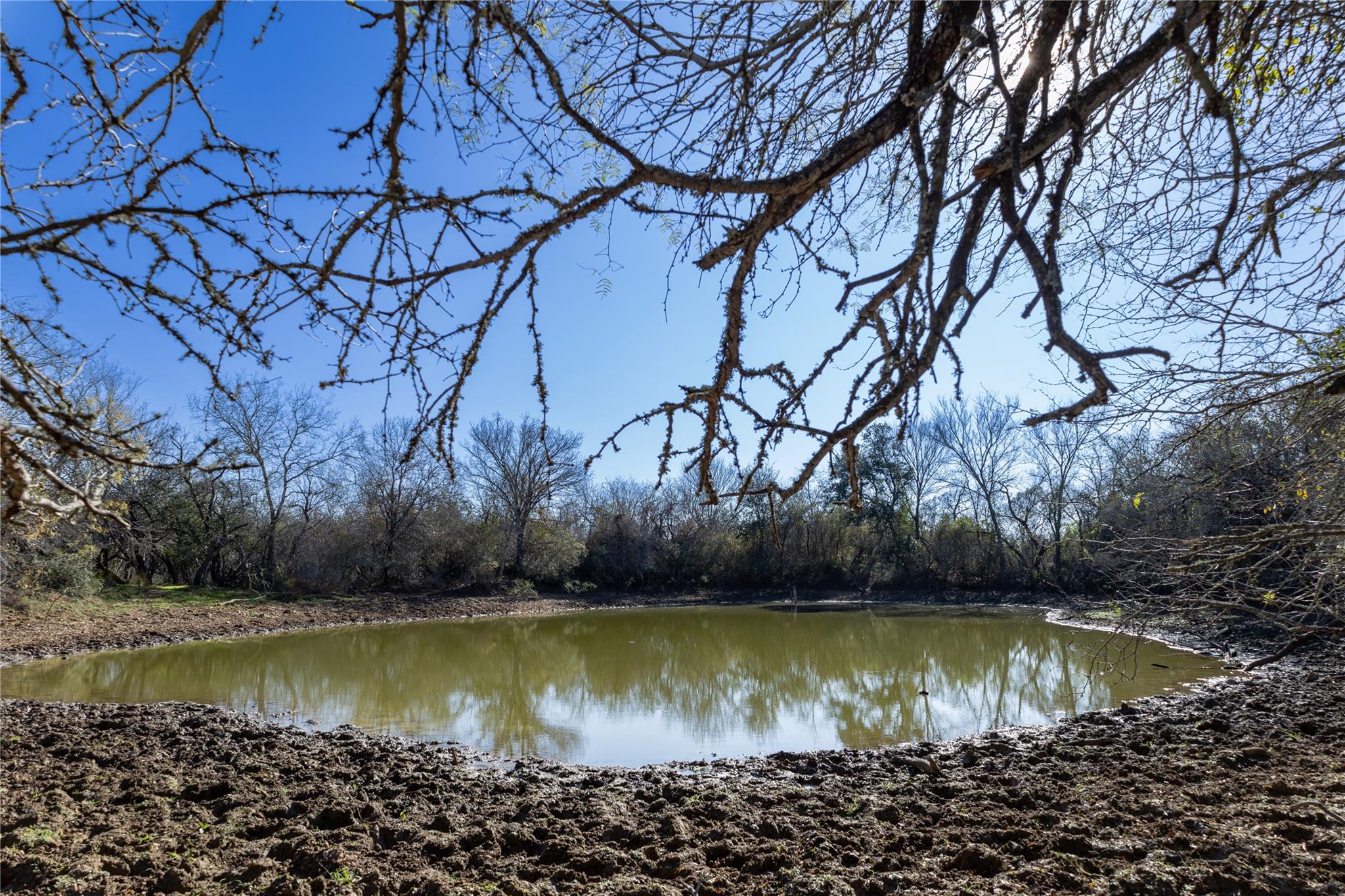 Image 10 of 40 For 399 Seals Creek Rd