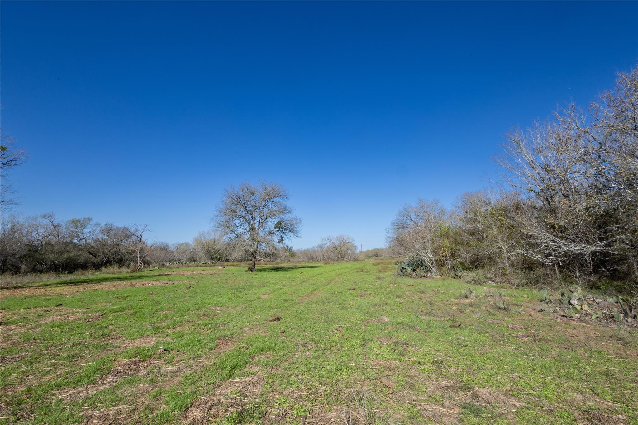 Image 12 of 40 For 399 Seals Creek Rd