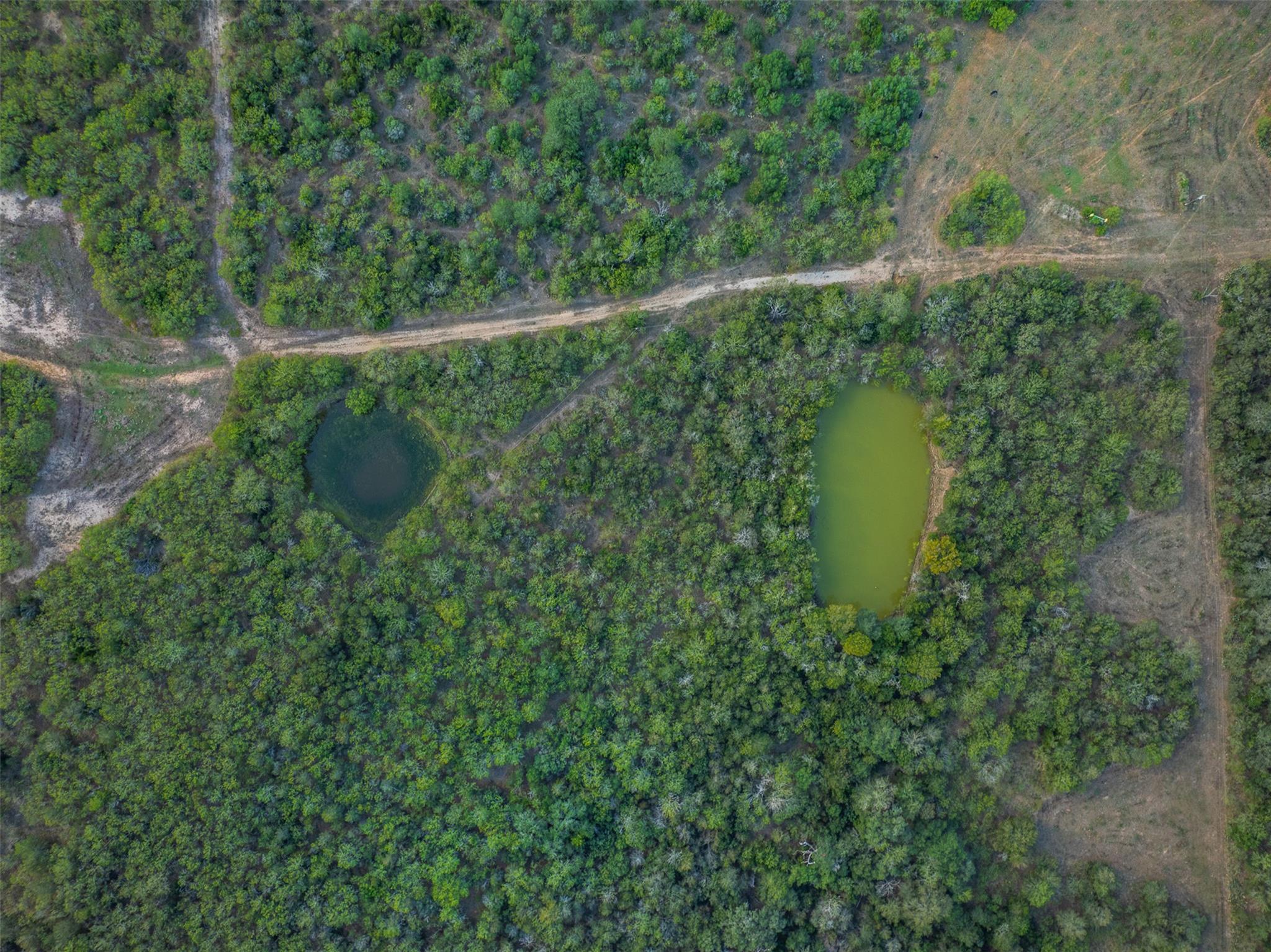 Image 19 of 40 For 399 Seals Creek Rd