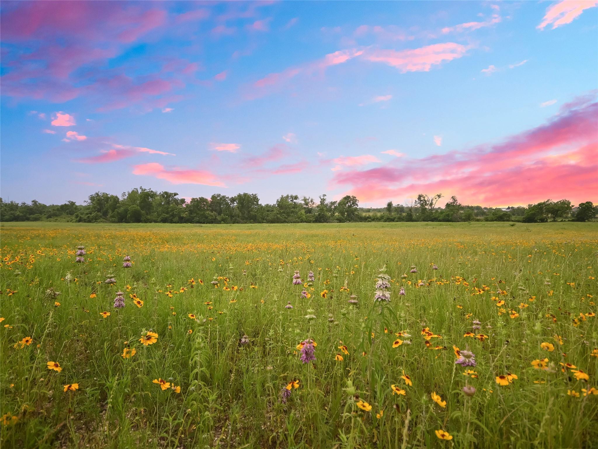 Image 12 of 15 For 1515 County Road 315