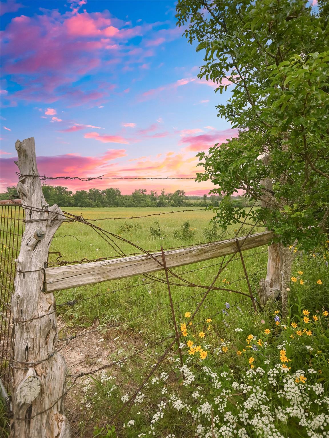 Image 13 of 15 For 1515 County Road 315