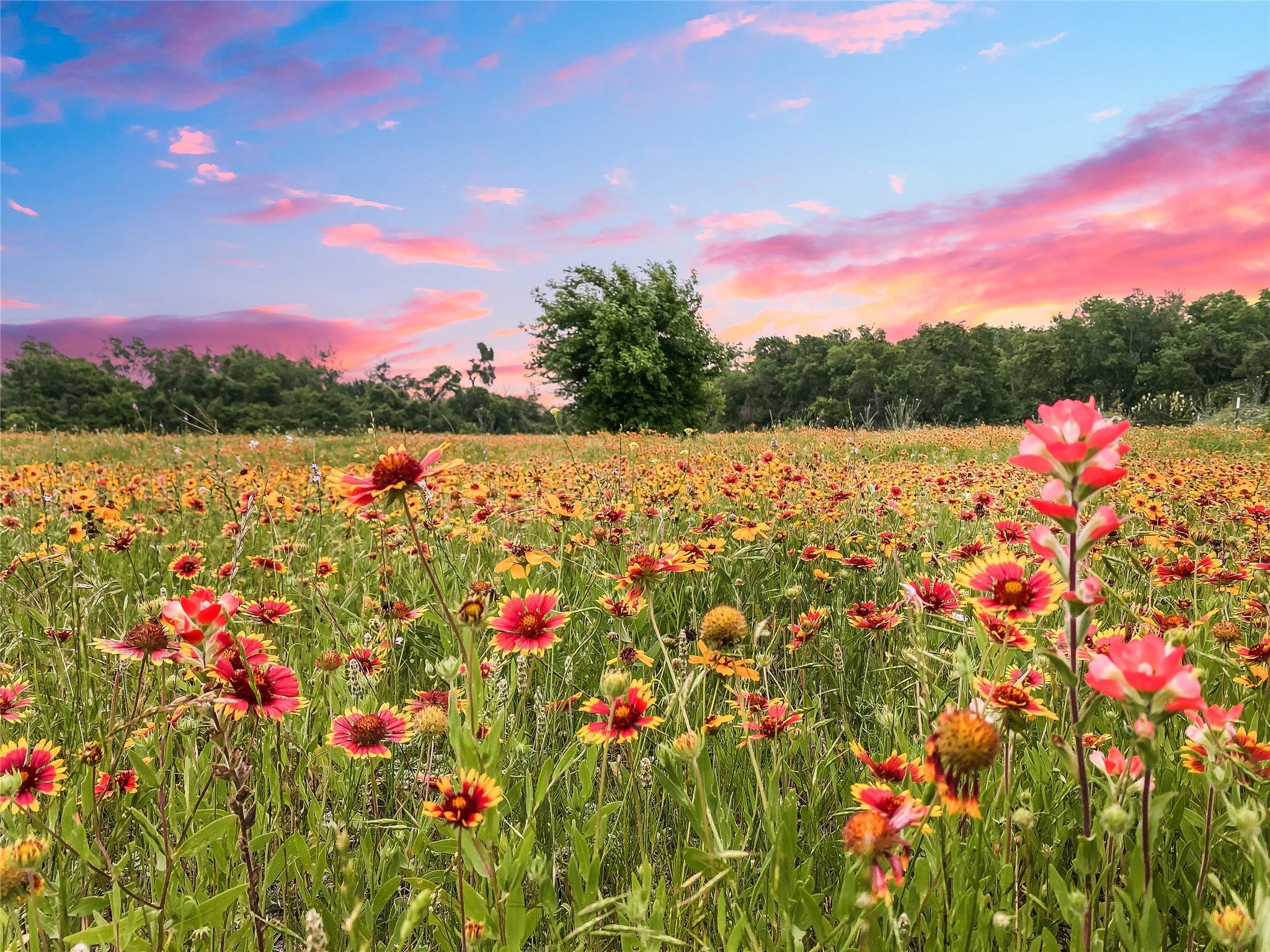 Image 14 of 15 For 1515 County Road 315