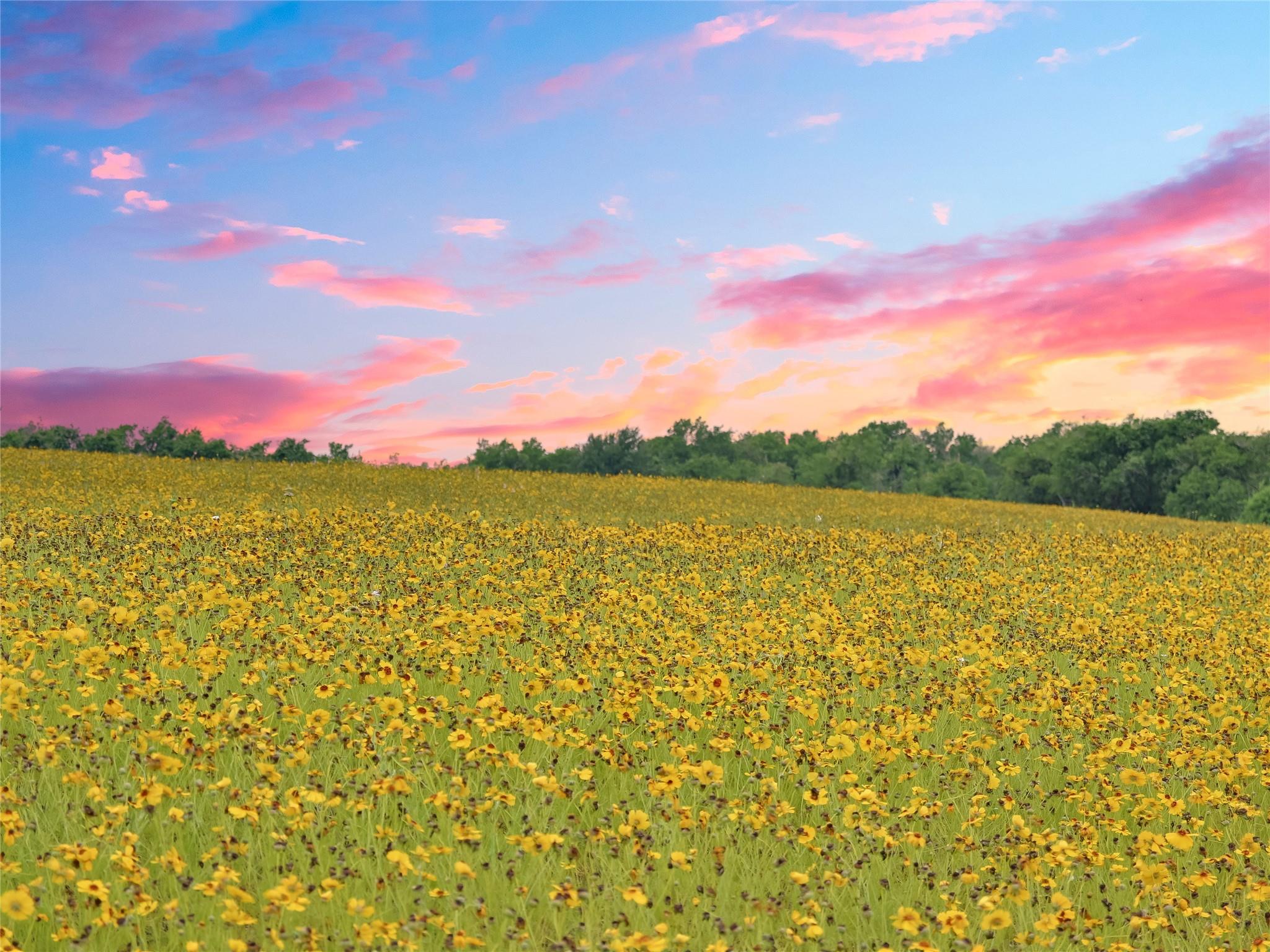 Image 2 of 15 For 1515 County Road 315