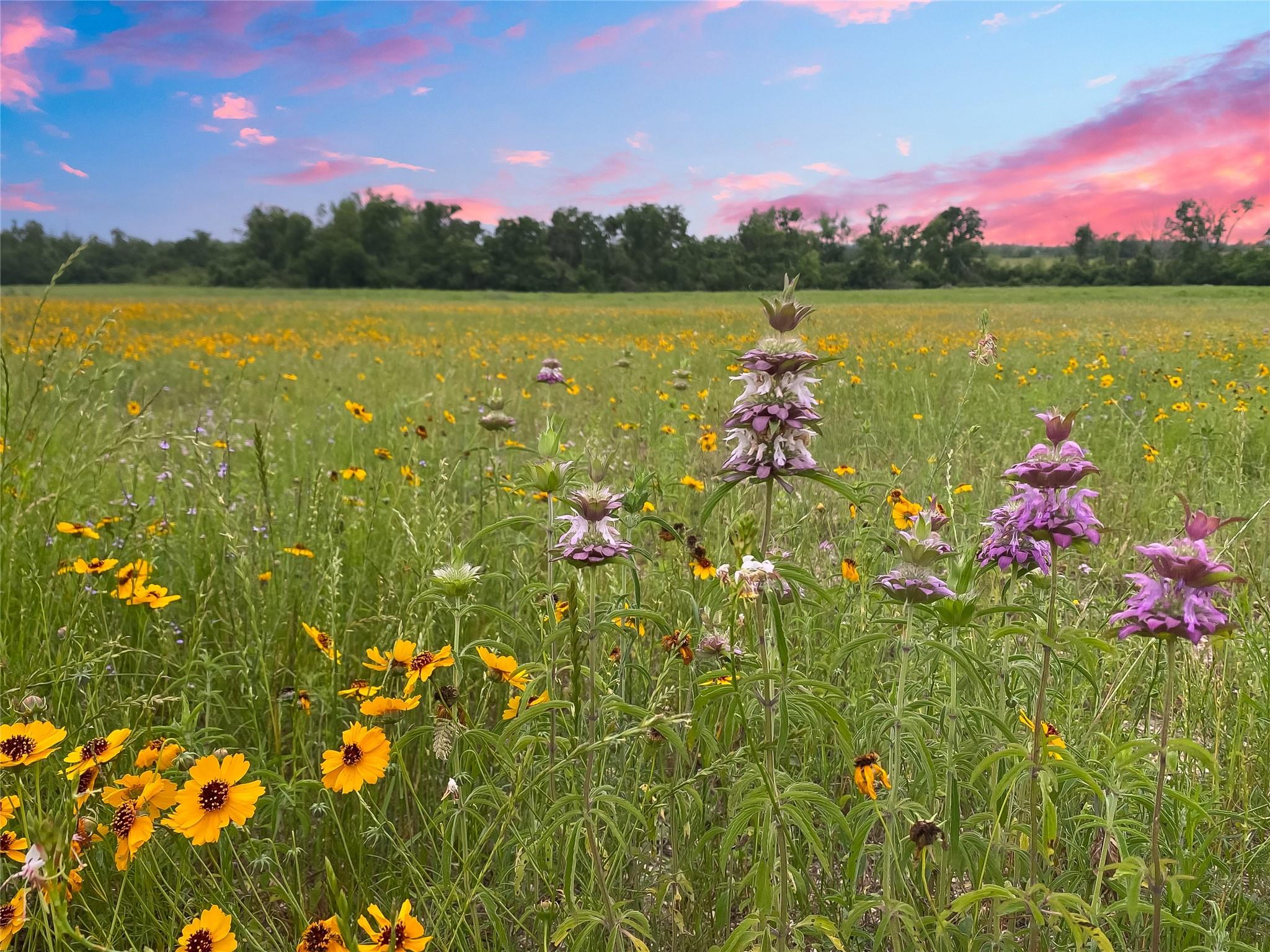 Image 5 of 15 For 1515 County Road 315