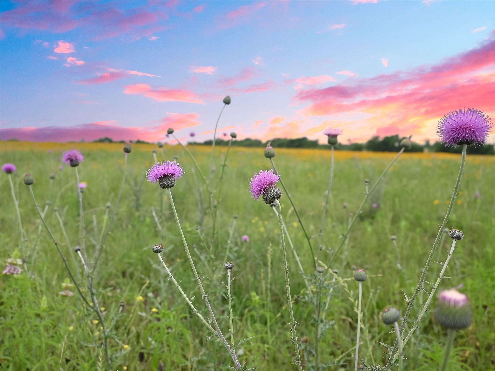 Image 6 of 15 For 1515 County Road 315