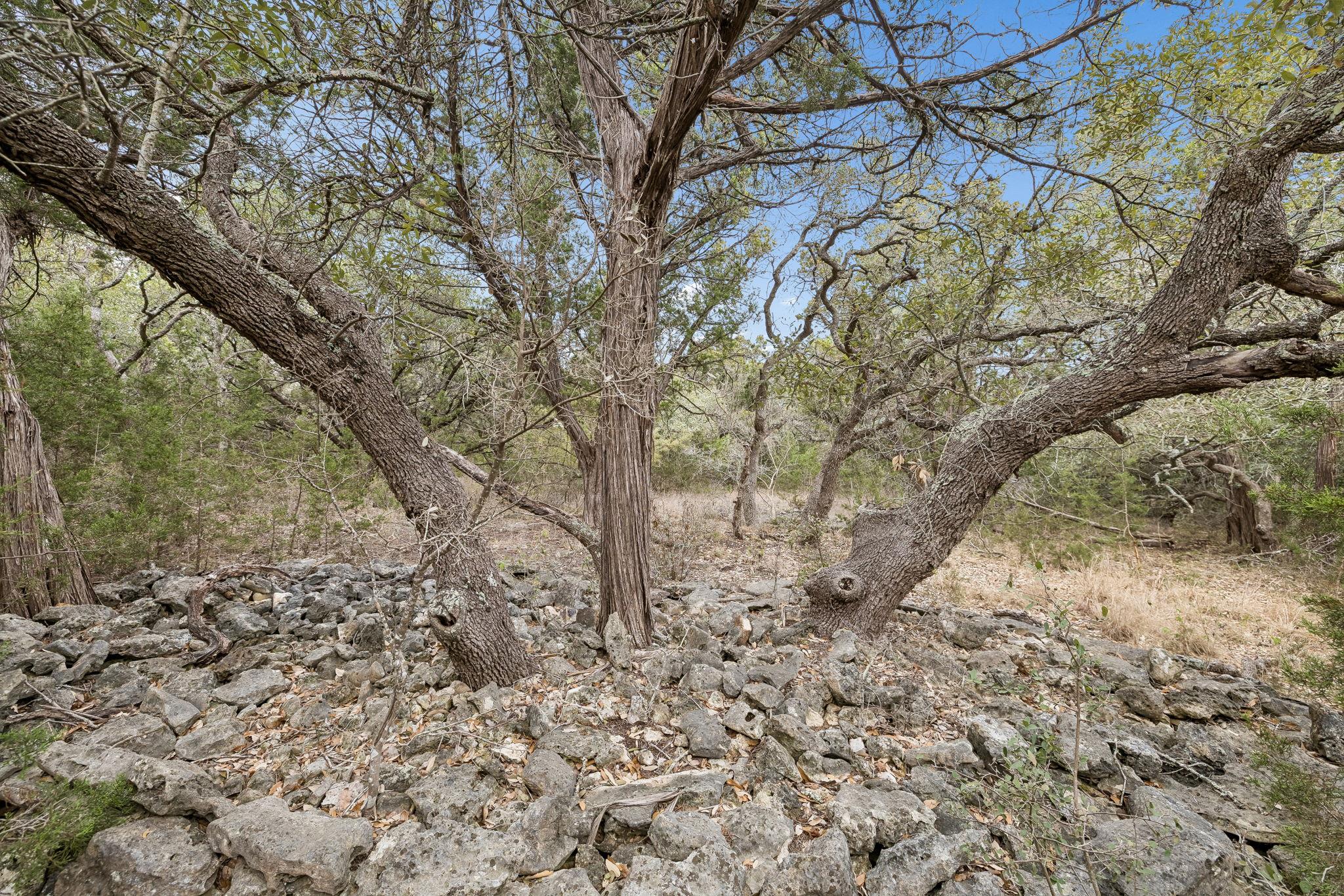 Image 11 of 35 For 1398 Lazy Forest Frst