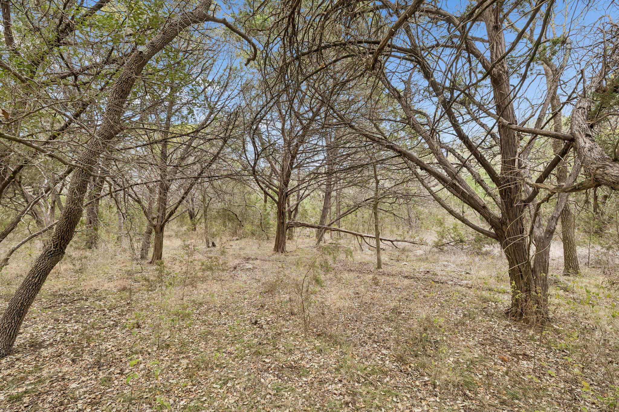 Image 19 of 35 For 1398 Lazy Forest Frst