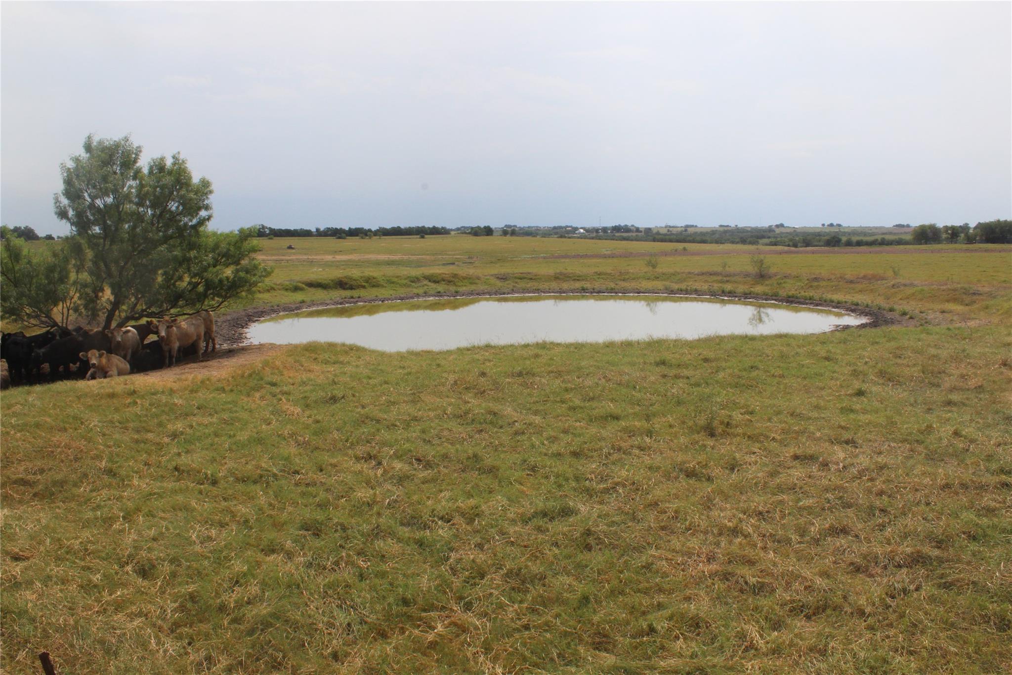 Image 9 of 9 For Tba County Road 417