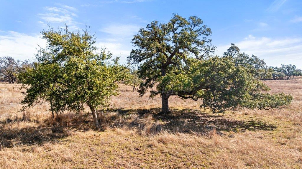 Image 12 of 40 For 529 Skyline Dr