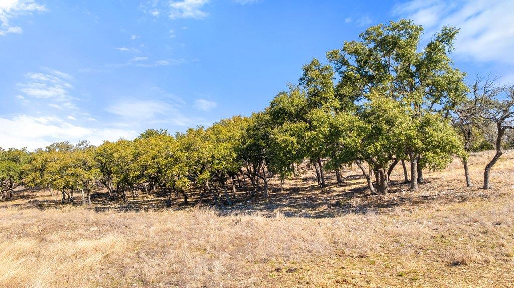 Image 17 of 40 For 529 Skyline Dr