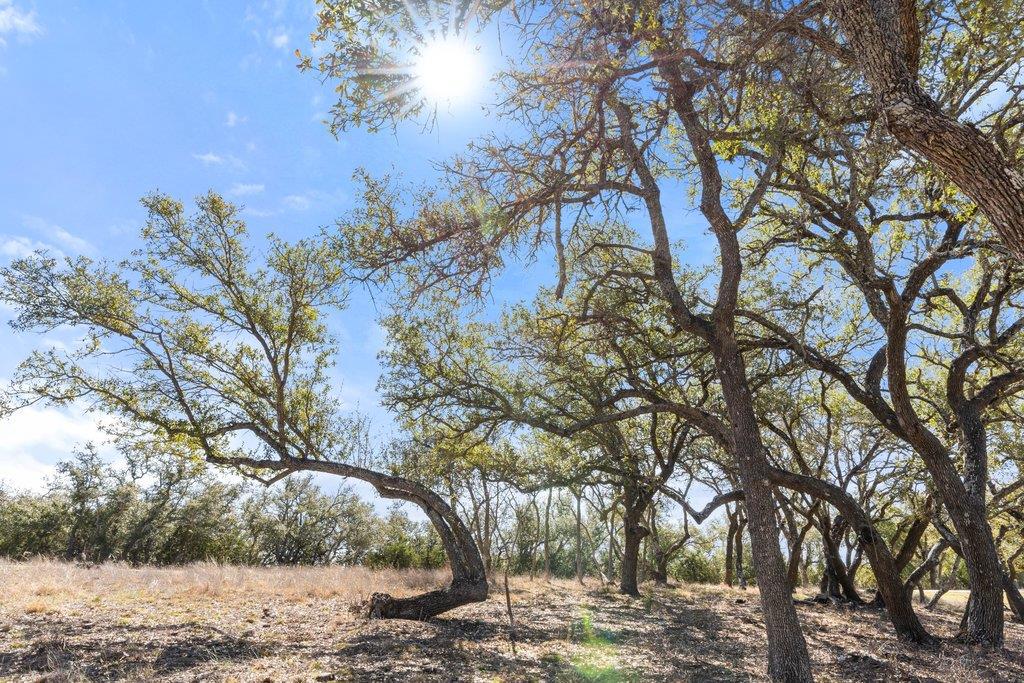 Image 22 of 40 For 529 Skyline Dr