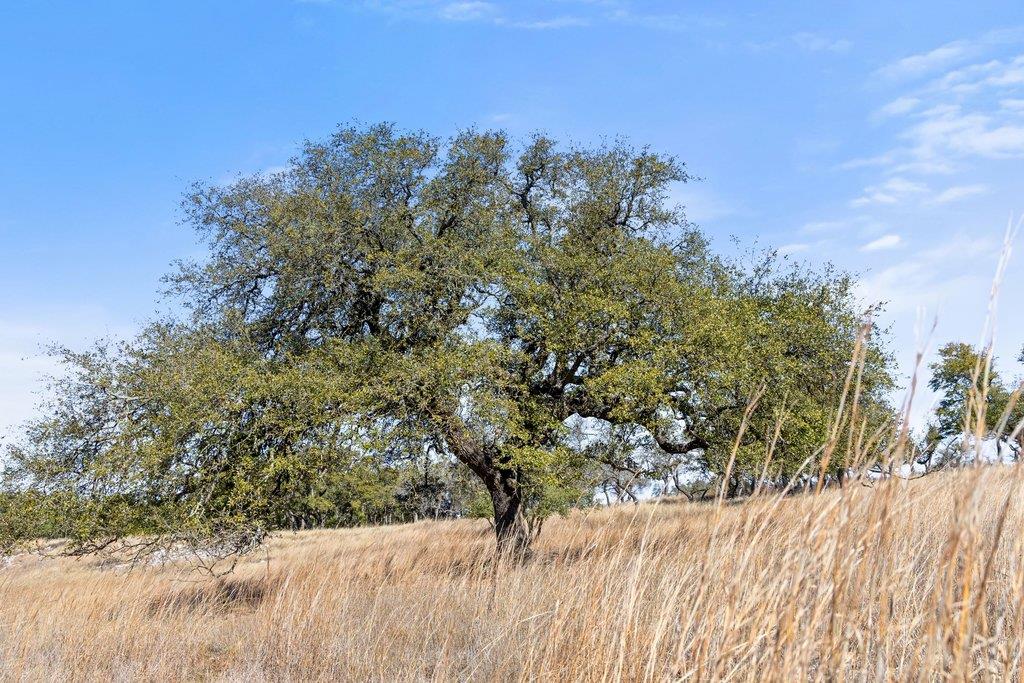 Image 28 of 40 For 529 Skyline Dr