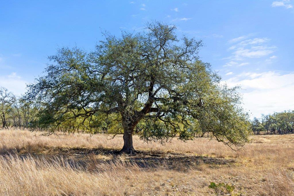 Image 30 of 40 For 529 Skyline Dr