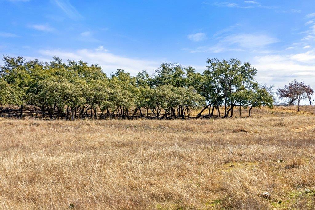 Image 32 of 40 For 529 Skyline Dr