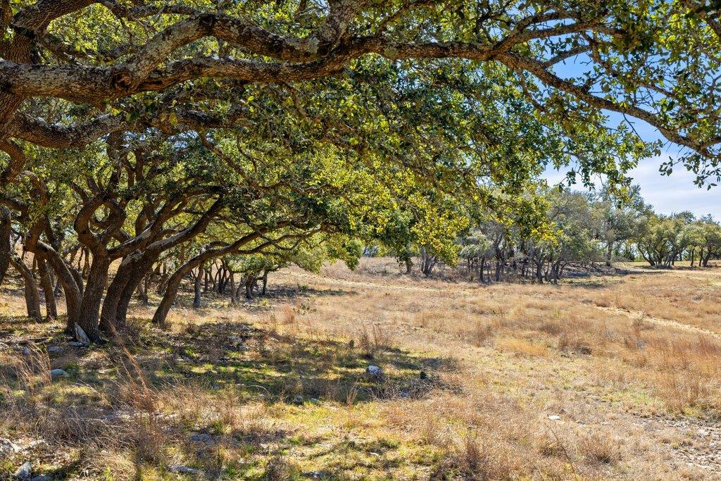 Image 34 of 40 For 529 Skyline Dr