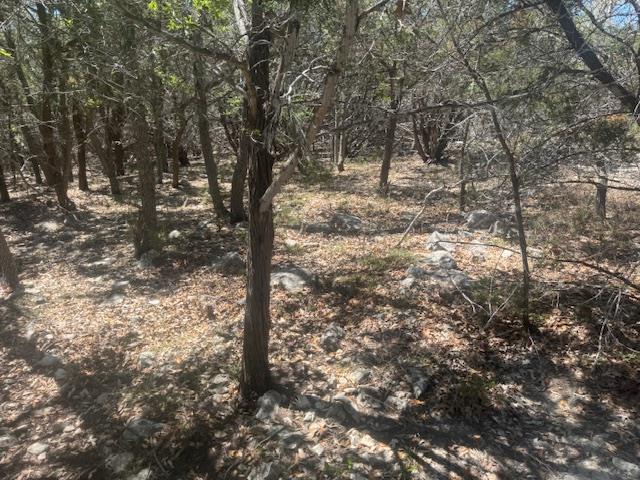 Image 4 of 5 For 1381 Western Skies Dr