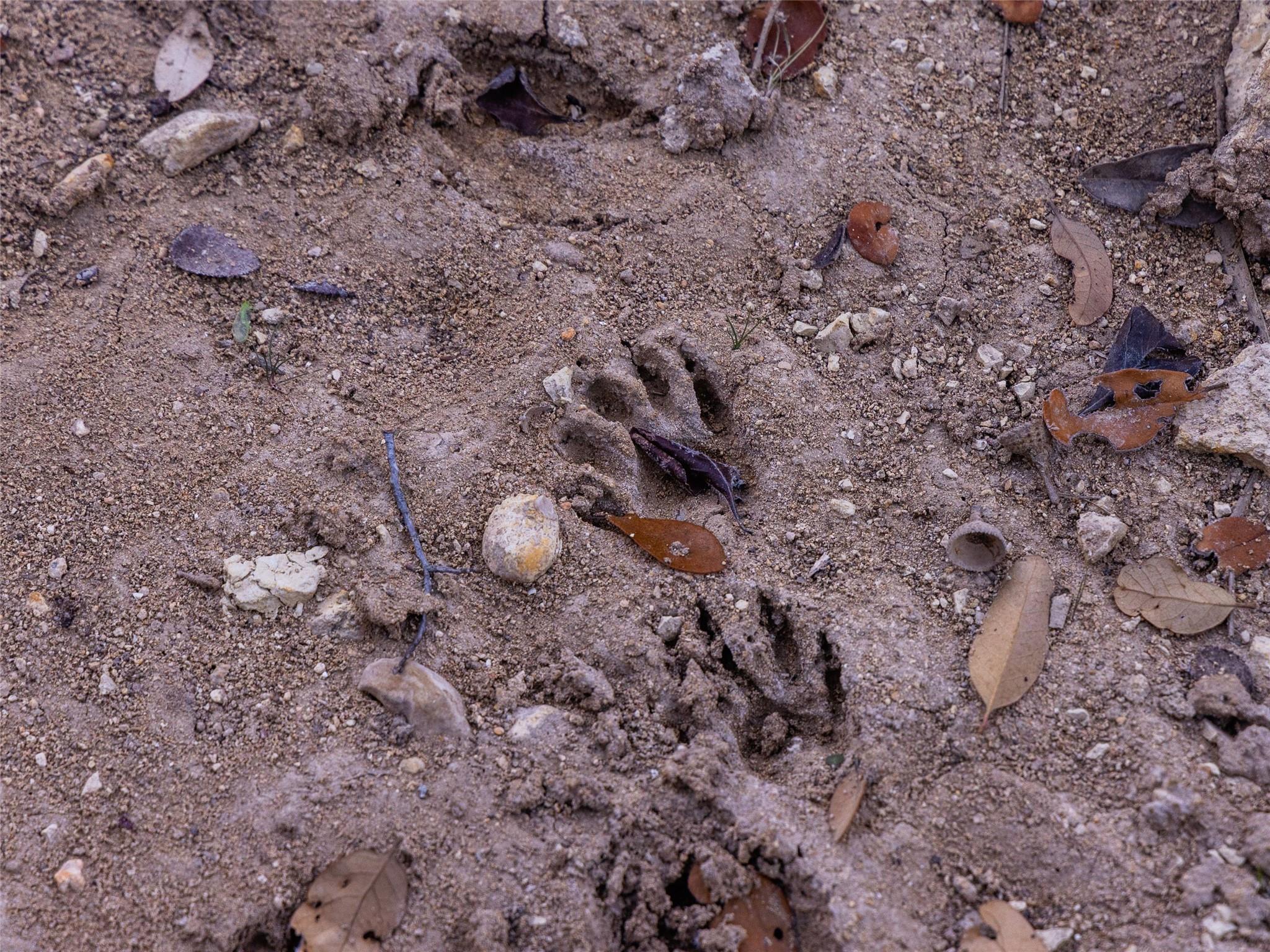 Image 12 of 40 For 6.56 Acres 1623 Rd