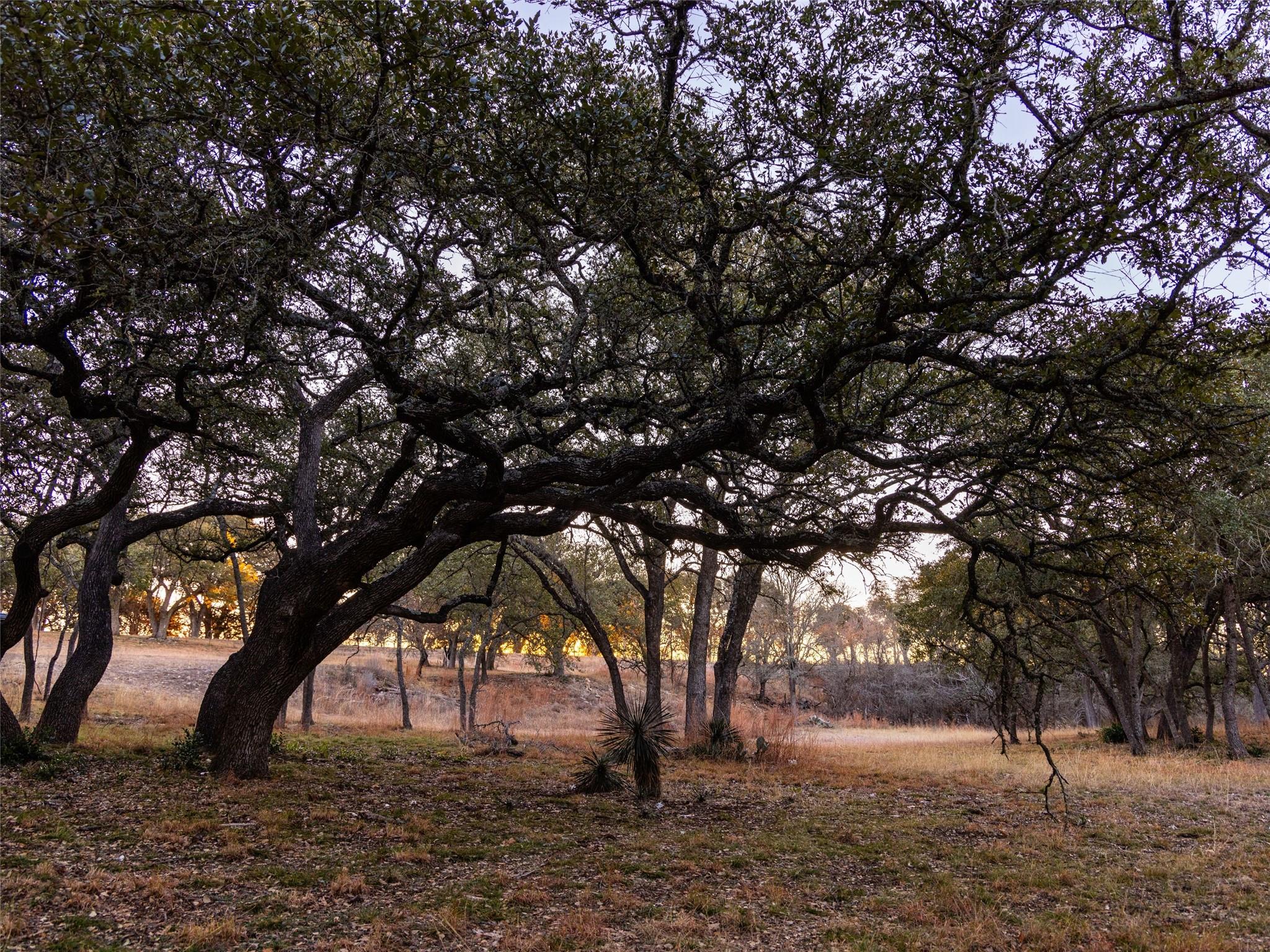 Image 15 of 40 For 6.56 Acres 1623 Rd